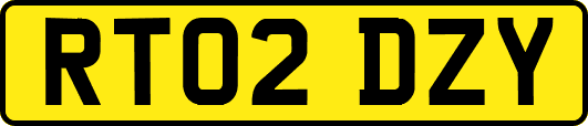 RT02DZY