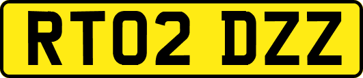 RT02DZZ