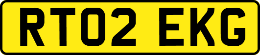RT02EKG