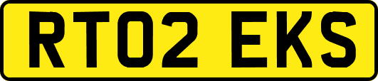 RT02EKS