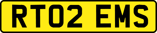 RT02EMS