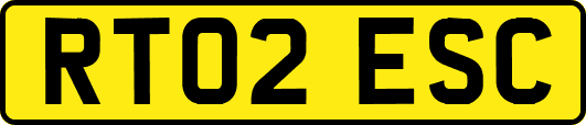 RT02ESC