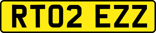 RT02EZZ