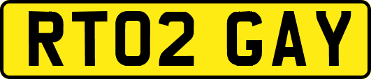 RT02GAY