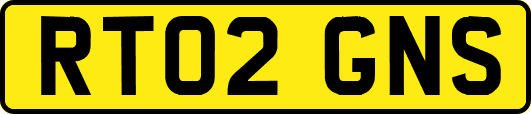 RT02GNS