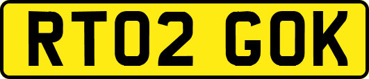 RT02GOK