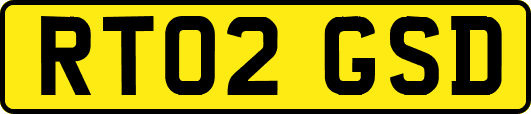 RT02GSD