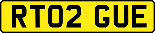RT02GUE