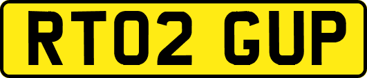 RT02GUP