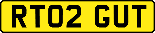 RT02GUT
