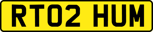 RT02HUM