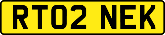 RT02NEK