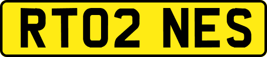 RT02NES