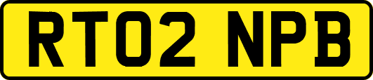 RT02NPB