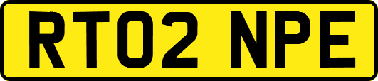 RT02NPE