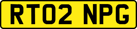 RT02NPG