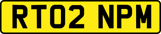 RT02NPM