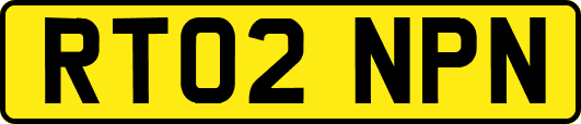 RT02NPN