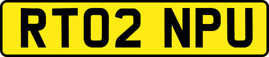 RT02NPU