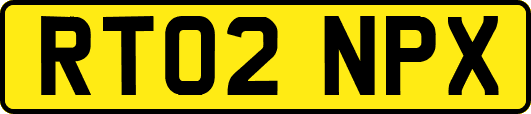 RT02NPX