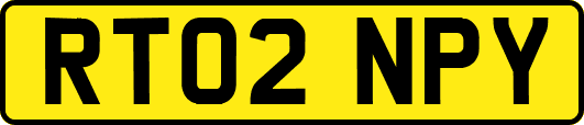 RT02NPY