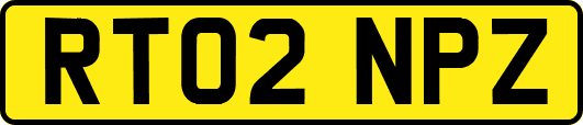 RT02NPZ