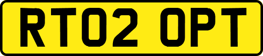 RT02OPT
