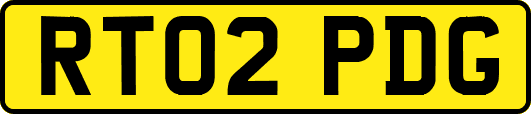 RT02PDG