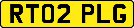 RT02PLG