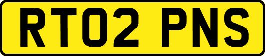 RT02PNS