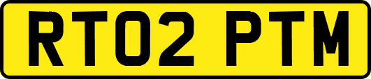 RT02PTM