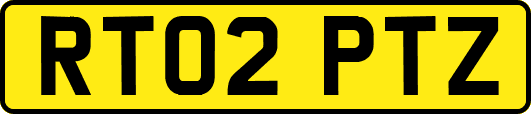 RT02PTZ