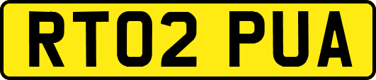 RT02PUA