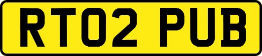 RT02PUB