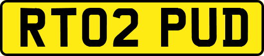 RT02PUD