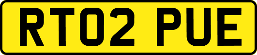 RT02PUE