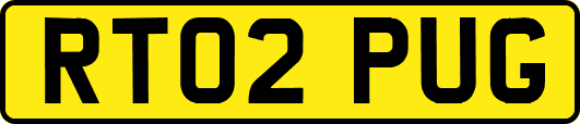 RT02PUG
