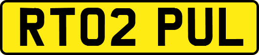 RT02PUL