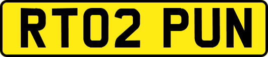 RT02PUN