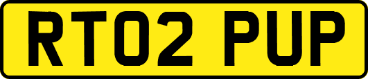 RT02PUP