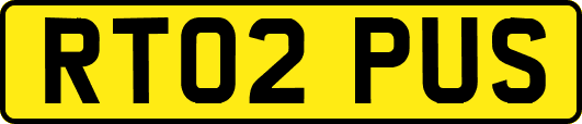 RT02PUS