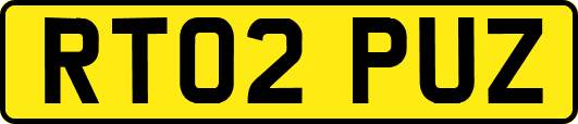 RT02PUZ