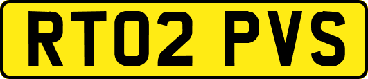 RT02PVS