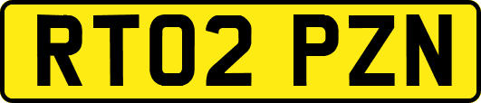 RT02PZN