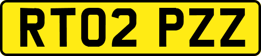 RT02PZZ