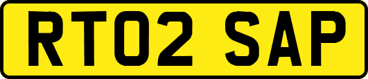 RT02SAP