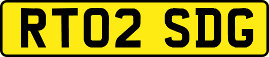 RT02SDG