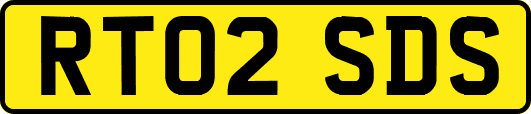RT02SDS