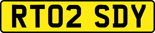 RT02SDY