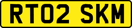 RT02SKM